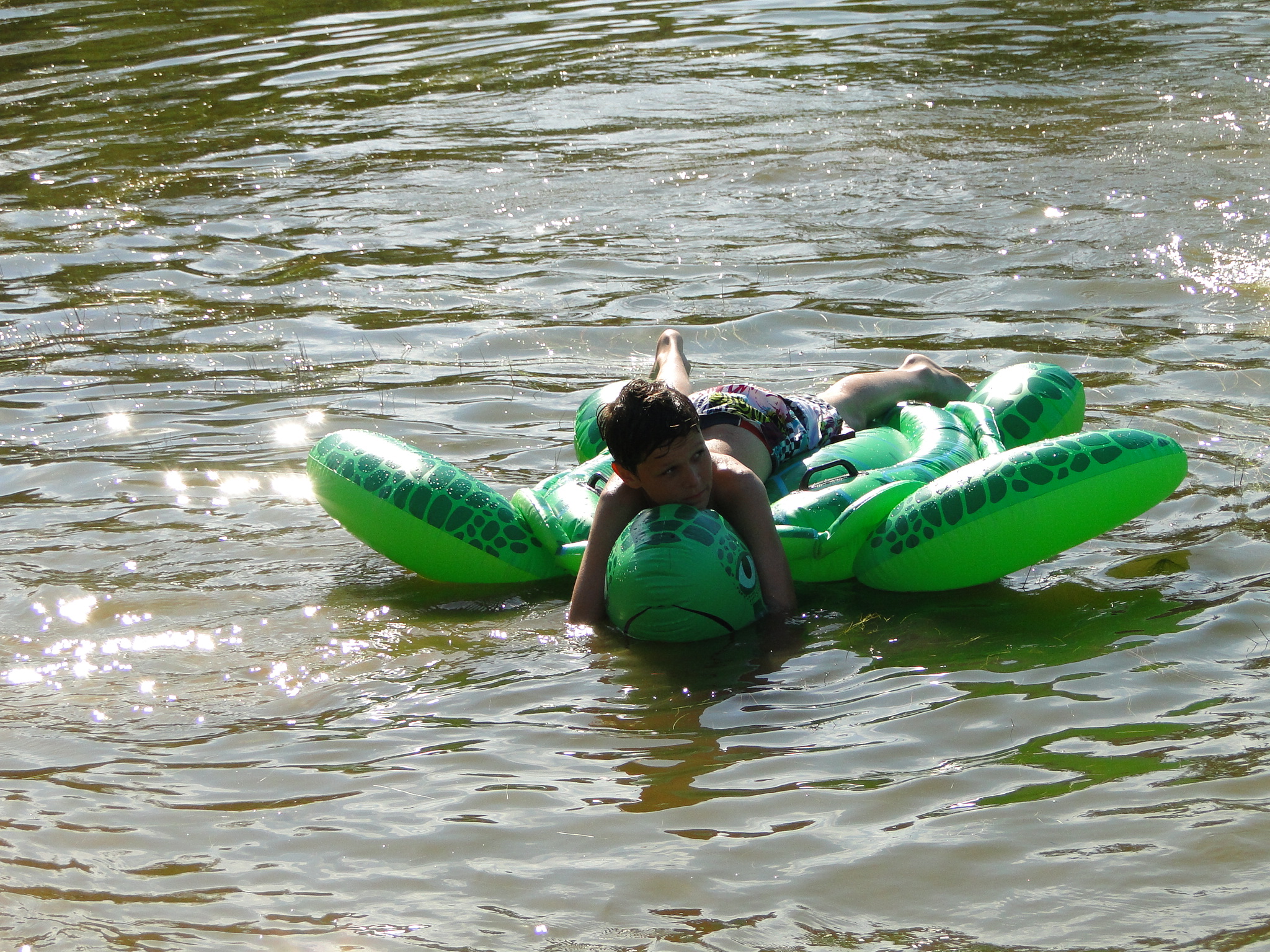 2011HWK 385.jpg